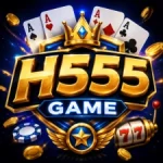 H555 Game